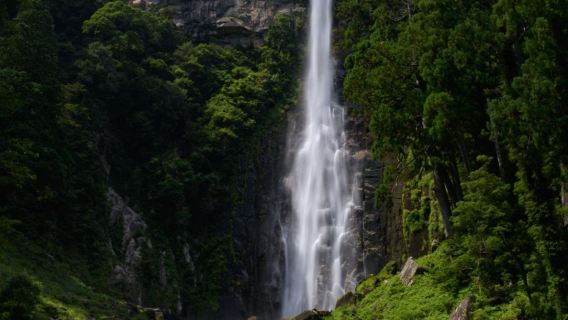 Osaka | Lawatan sehari Kumano - Pintu Gerbang Laluan Kuno Daimonzaka + Air Terjun Nachi + Kuil Besar Nachi - Tidak termasuk tiket masuk