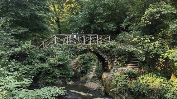 [Luxembourg sewaan peribadi] Bandar lama Echternach + Switzerland Kecil tarikan pelancongan semula jadi - lawatan sehari agama dan budaya