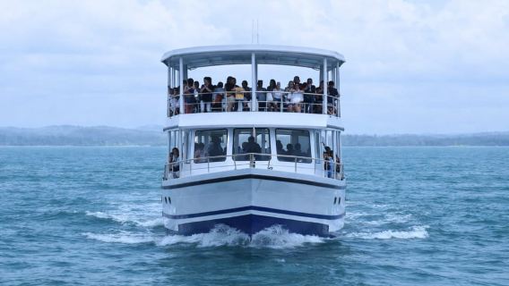 Mirissa: Whale Watching Tour with Marine Life Briefing