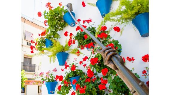 Cordoba's Authentic Patios: 2-Hour Tour with Tickets