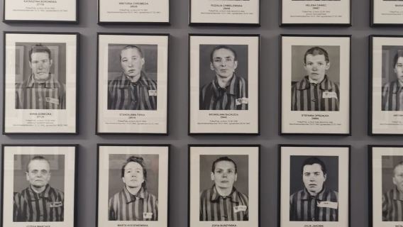 Desde Cracovia: Tour de un día guiado por el complejo del campo de Auschwitz-Birkenau