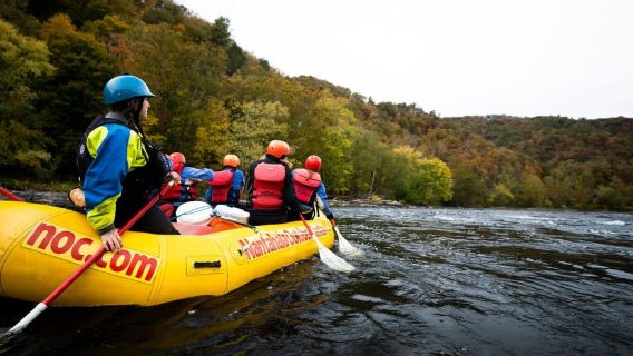 Marshall: French Broad Whitewater River Rafting Experience