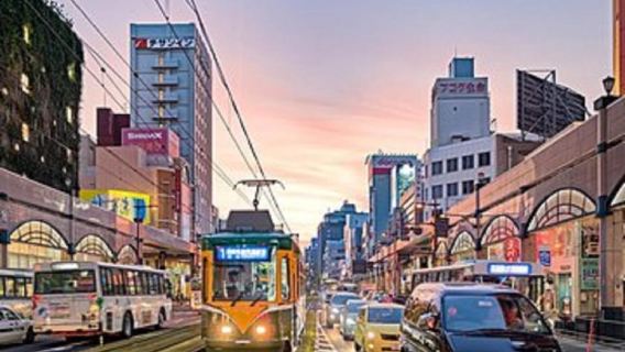 Kagoshima Shared Half-Day Tour (One-Way Transfer from Port)