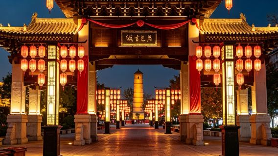 China·Henan·Luoyang Gua Longmen·Kuil Kuda Putih·pemandu pelancong pilihan penerangan berpandu (tidak termasuk tiket masuk)