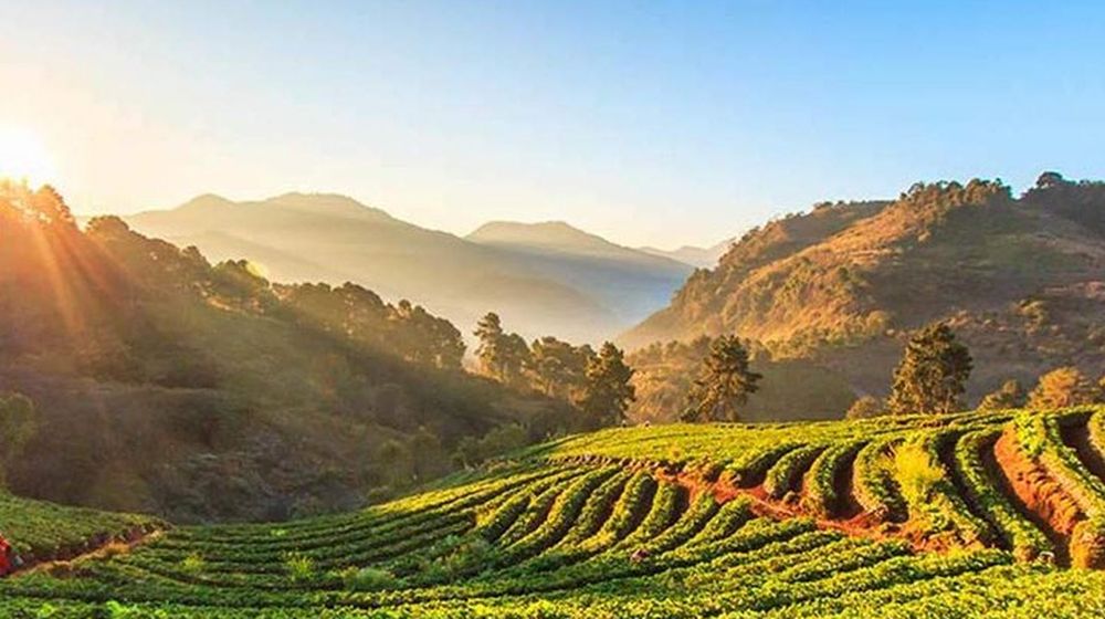 Day 7: National Park Adventure