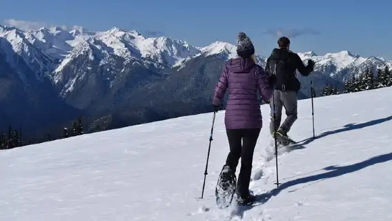 Cleebourg trekking best sale pole