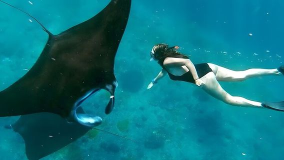 BaliExperiences