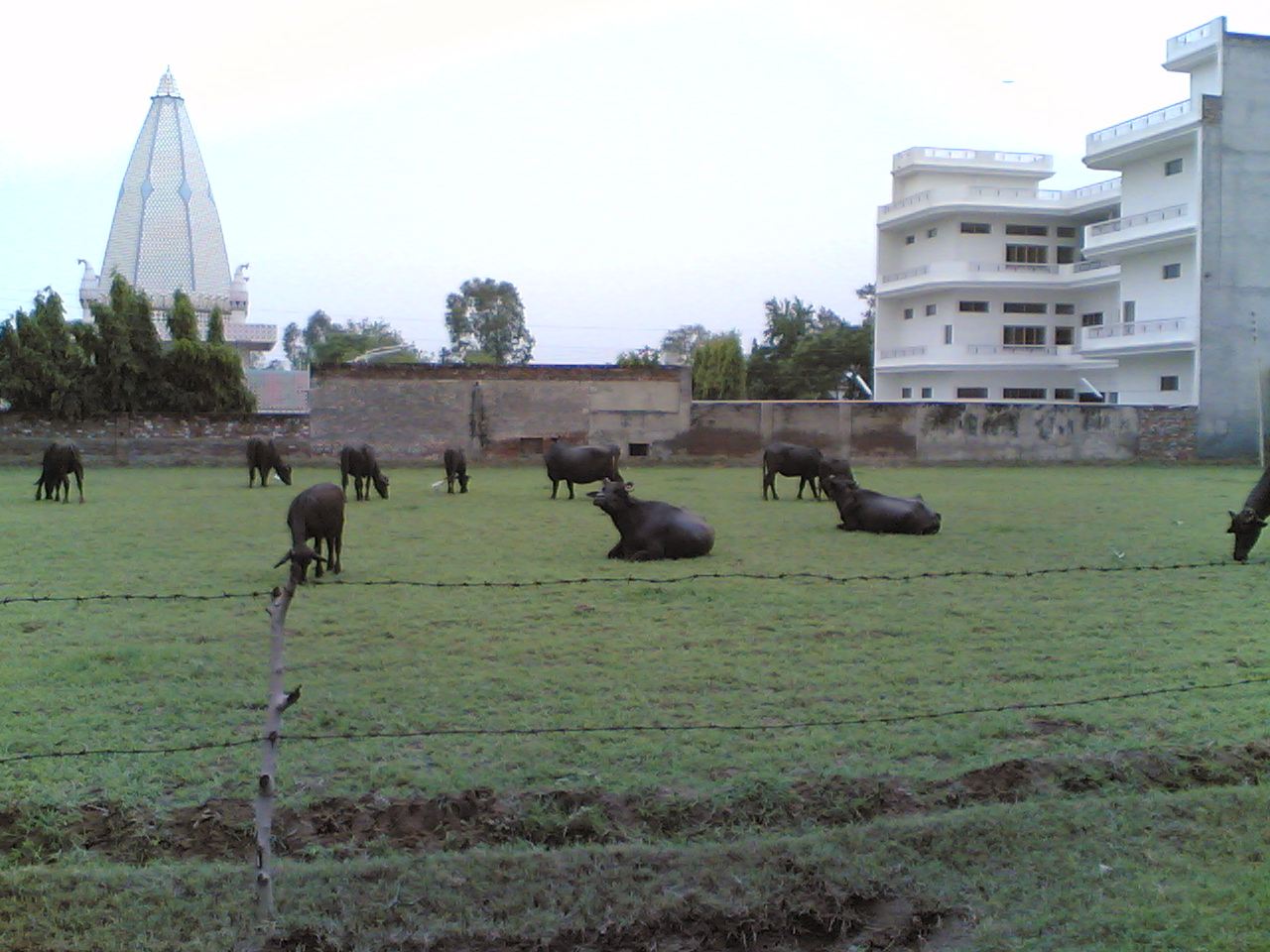 A Day Tour of Mount Abu from Udaipur including Guide Service