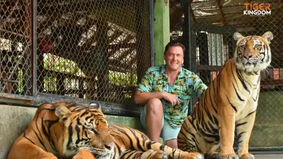 Phuket Tiger Kingdom [สัมผัสแมวใหญ่] |ปฏิสัมพันธ์ระหว่างพ่อแม่และลูก|รถปิกอัพพิเศษ