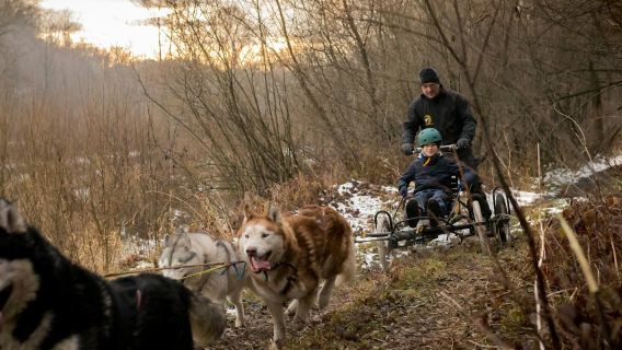 Zakopane: Hondensledetocht in het Tatragebergte vanuit Krakau