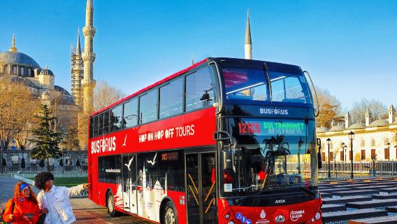 Istanbul: 1-Tages-Hop-On-Hop-Off-Bustour + Audioguide