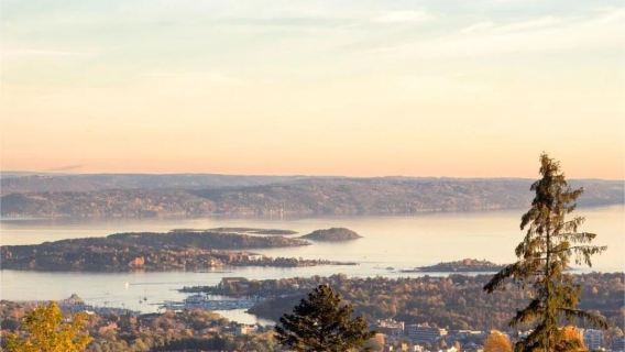 Oslo City Center - Frogner Park - Munch Museum & Surroundings - Private Charter - Top Pick