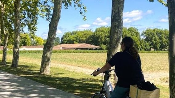 Bordeaux