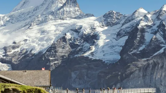 Grindelwald First: Roundtrip Gondola to Cliff Walk from Grindelwald