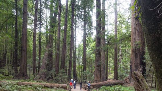 San FranciscoExperiences