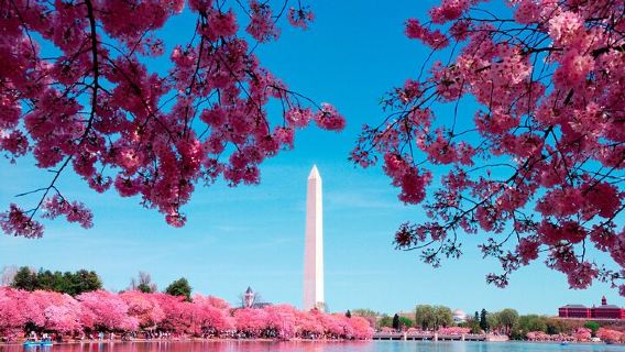 Washington D.C.Tours