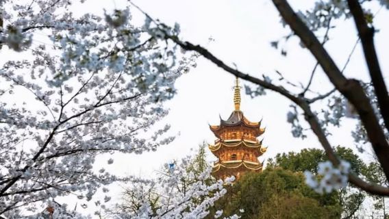 Гора Нюшоу + Юйхуатай + сад Чжань + дворец Мин + музей. однодневный тур с гид/ индивидуальный трансфер/аренда автомобиля с водителем.