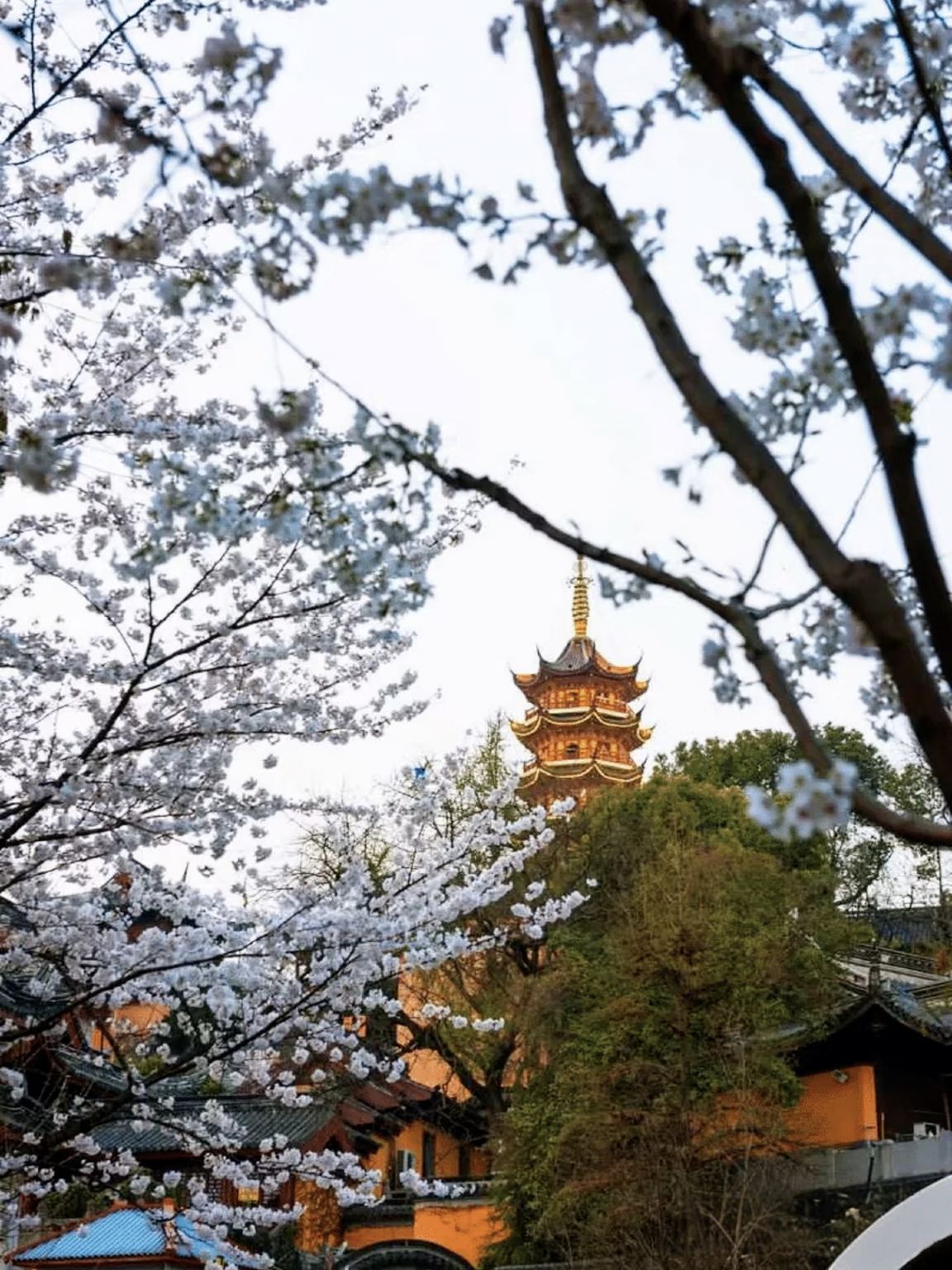 1-day tour to Niushou Mountain Cultural Tourism Zone + Yuhuatai Scenic Area + Zhan Garden + Nanjing Ming Palace Ruins Park + Museum with guide/private charter