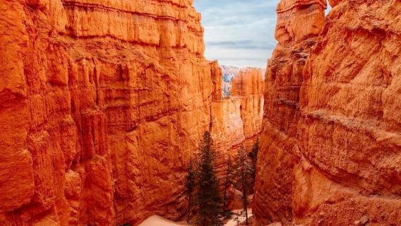 美國私享行-Vegas地標深度遊【火焰谷+七彩石】-安全無憂