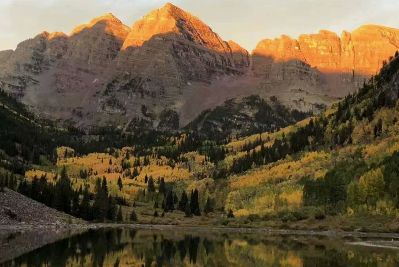 Seattle Olympic National Park & Ferry Nature Day Tour|English join-in tour