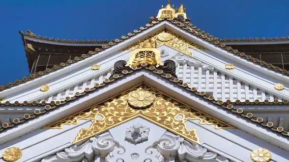 日本大阪市區包車一日遊-可多地來回【輕鬆暢遊普通話服務】