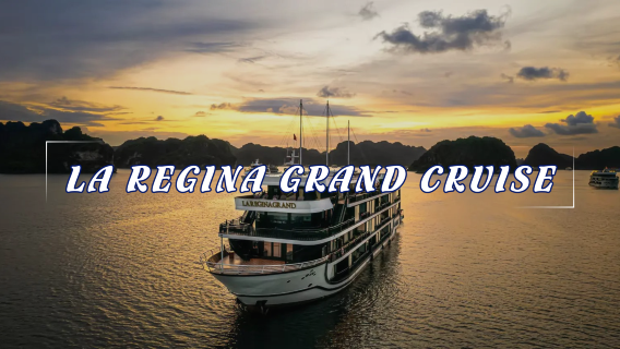 HaiphongTravel Services