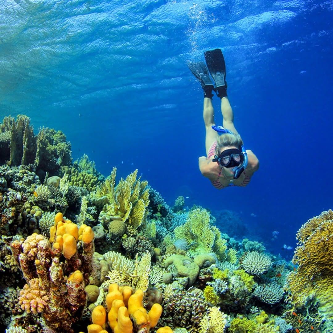 Esperienza di immersione subacquea e snorkeling di 8 ore a Blue Lagoon Nusa Ceningan, Bali, Indonesia [Snorkeling a Blue Lagoon, Bali]