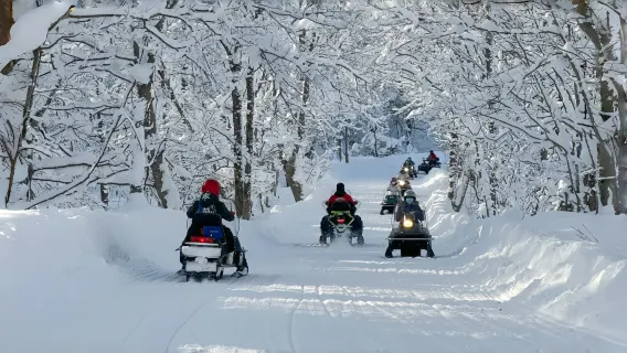 Excursion d'une journée en motoneige sur le Lac Tōya à Hokkaido + vallée de l'enfer de Noboribetsu + ferme aux ours | Option petit groupe de 9 personnes
