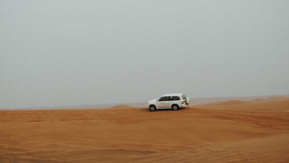 Da Gerusalemme: visita al Mar Morto e safari nel deserto