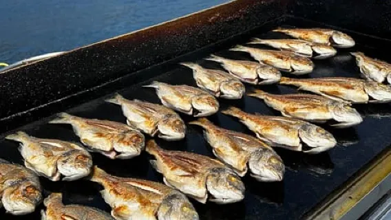 Gocek: Perjalanan Kapal Pesiar dan Tur Sehari Penuh ke 12 Pulau dengan Makan Siang