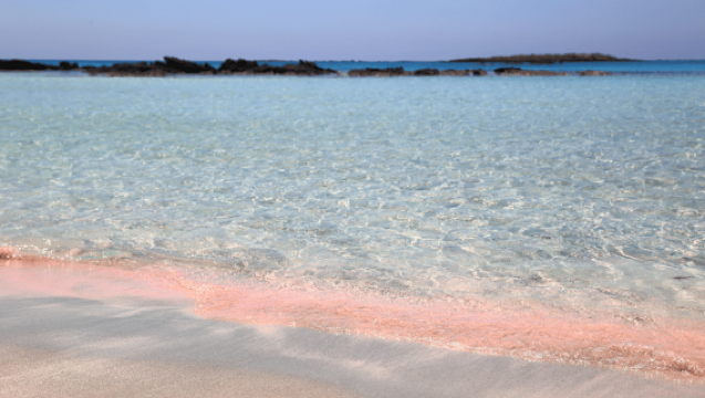 From Heraklion: Guided Trip to Elafonisi Beach with PickUp