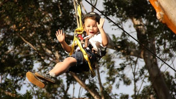 North Maui: 7 Line Zipline Adventure with Ocean Views