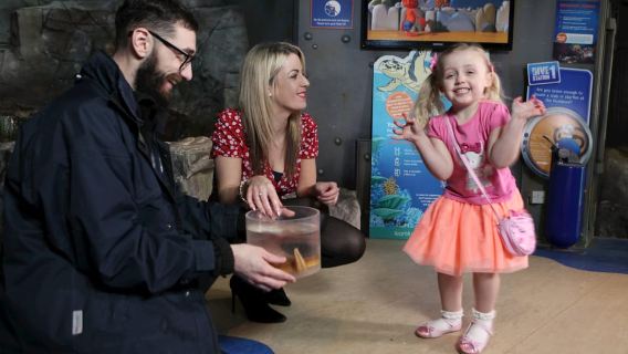 SEA LIFE Blackpool Entrance Ticket