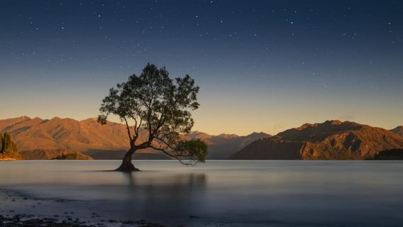 Queenstown to Franz Josef Tour via Wānaka (One-Way)