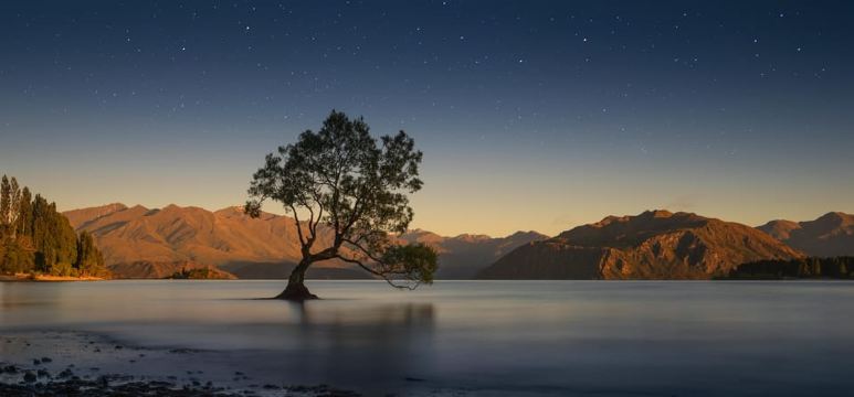 Tour von Franz Josef nach Queenstown über Wānaka