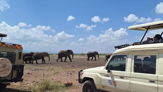 Nairobi: Tagesausflug zum Amboseli-Nationalpark mit Pirschfahrten