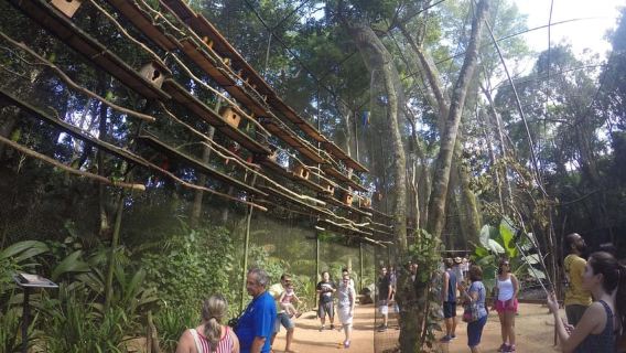IguazuTours