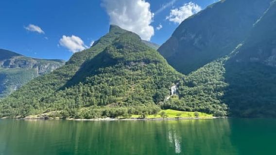 Bergen: Geführte Bustour durch den Nærøyfjord, Flåm und Stegastein