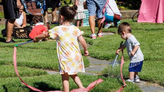 Memphis Botanic Garden Entry Ticket