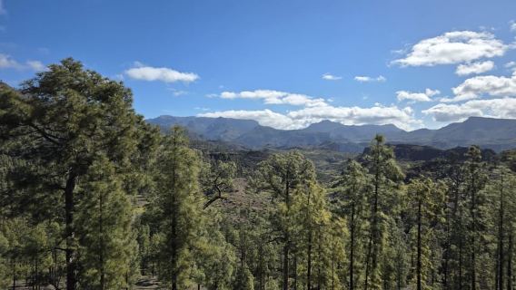 Gran Canaria: Full Coast Tour with Local Guide