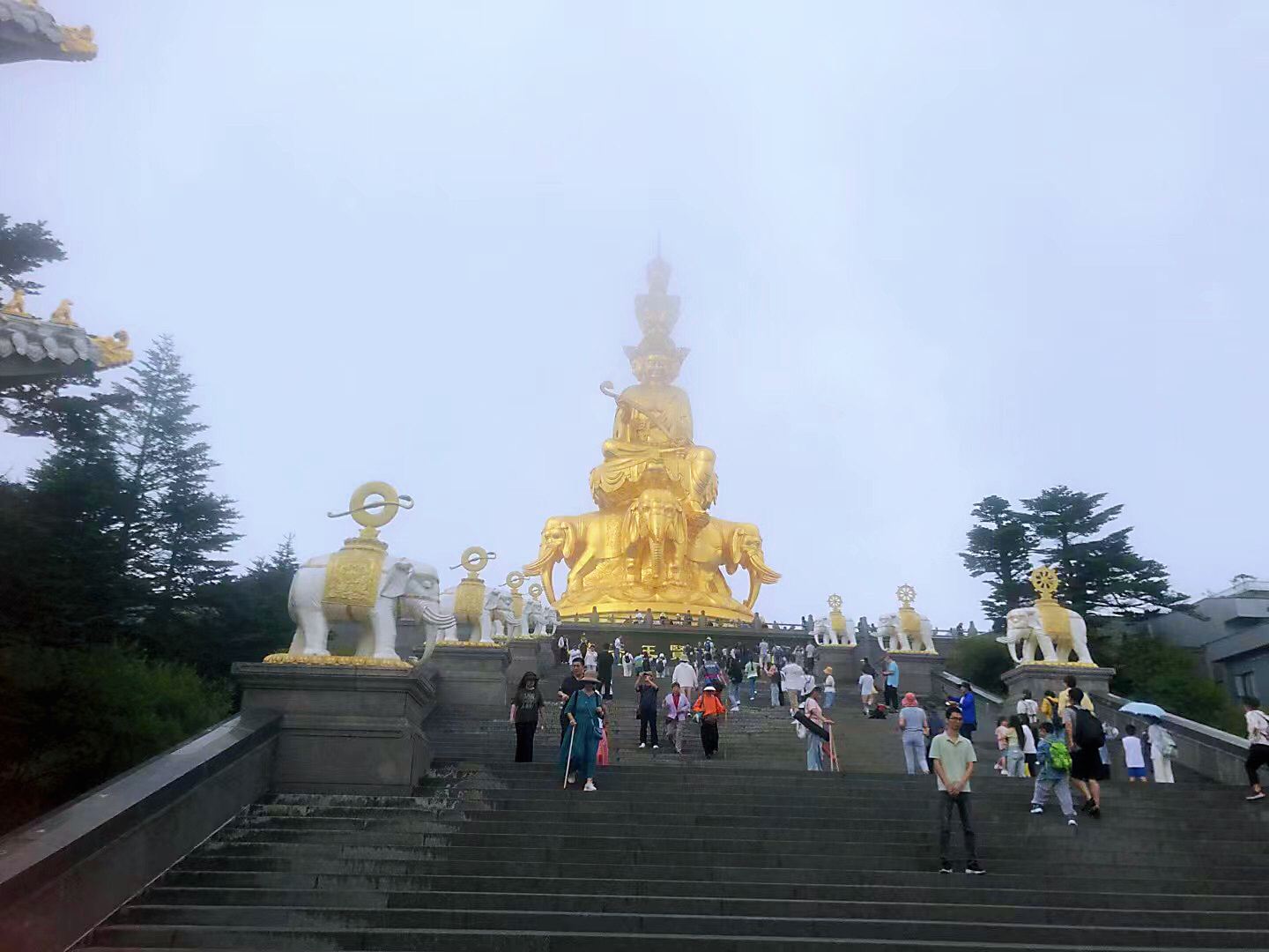 Day Tour to Mount Emei from Chengdu