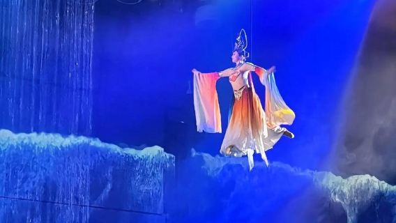 Luoyang Museum live guide group/private tour (includes admission ticket) + TRACING LUOSHEN FU admission ticket 1-day tour