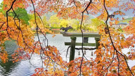 1-day tour to Dazaifu-tenmangu Shrine + Yufuin + Kinrin Lake + Yufuin no Mori Train in Oita, Japan