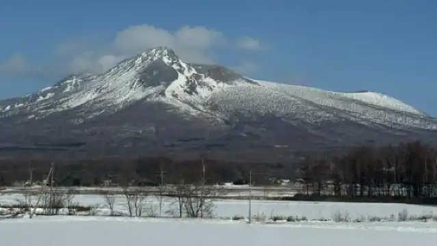 札幌+北海道神宮+中島公園一日遊/行程可調-可定制多日