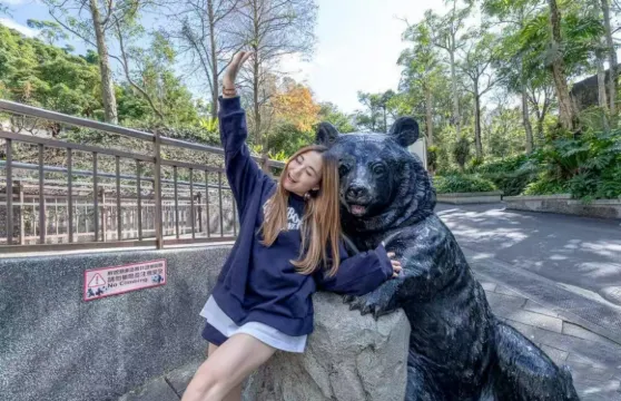 貓空纜車+台北市立動物園+海洋科技博物館 包車一日遊