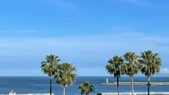 箱根蘆之湖遊船+箱根神社+陽光沙灘+熱海花火大會一日遊
