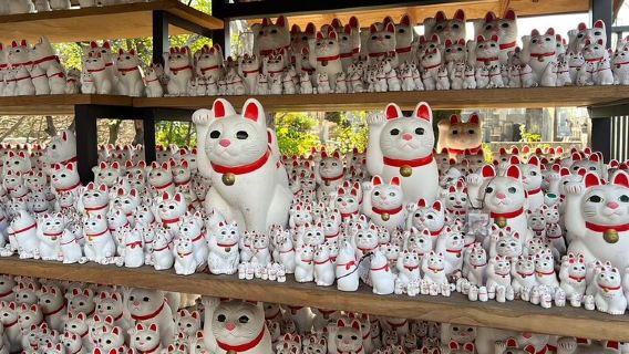 Tokyo · Chùa Gotokuji: Hành trình đi bộ cầu phúc dành cho người yêu mèo