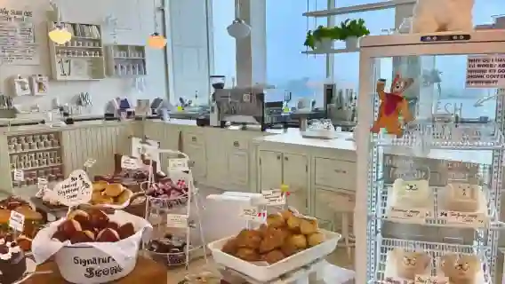 濟州島Aqua水族館+月汀裡+小狗咖啡+史努比樂園東線一日遊