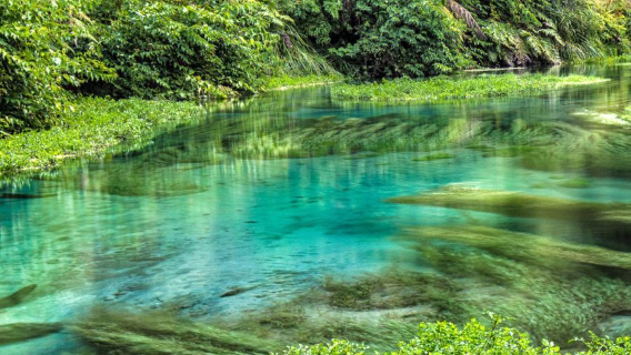 紐西蘭哈比人村+藍泉