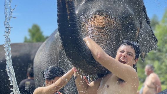 푸켓 타이멍 코끼리 보호 캠프